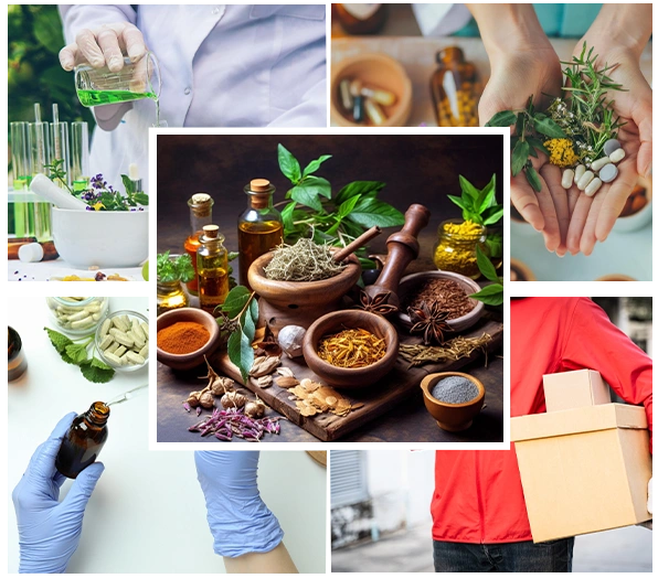 Wellness That Fits Your Life